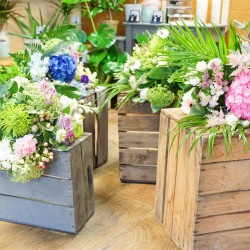 Subscription Flowers the Perfect Gift That Keeps on Blooming